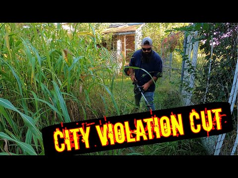 THIS IS THE CRAZIEST LAWN I HAVE EVER CUT!! | I CUT THIS CITY VIOLATION LAWN FOR FREE!!!